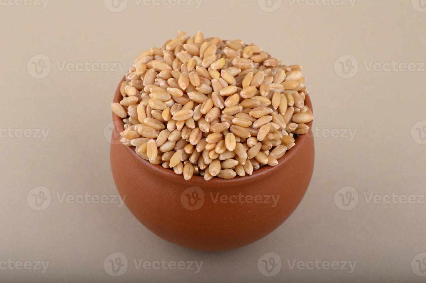 Wheat grains in clay pot on cream background. Close up. photo