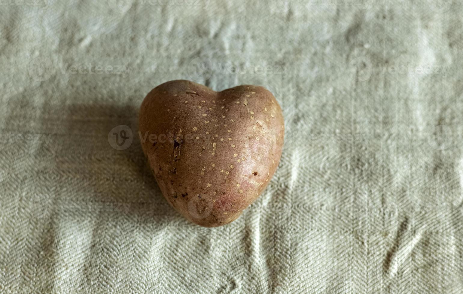 Heart shaped potatoes on a linen background. The concept of farming