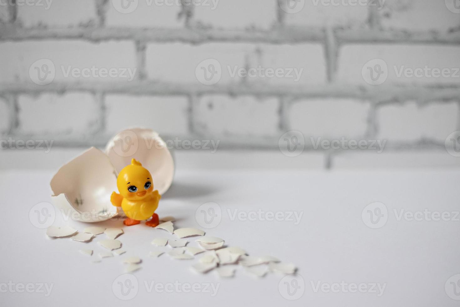 cáscara de huevo blanco de un huevo de gallina roto con fragmentos y un pollo eclosionado aislado. Pascua de Resurrección foto