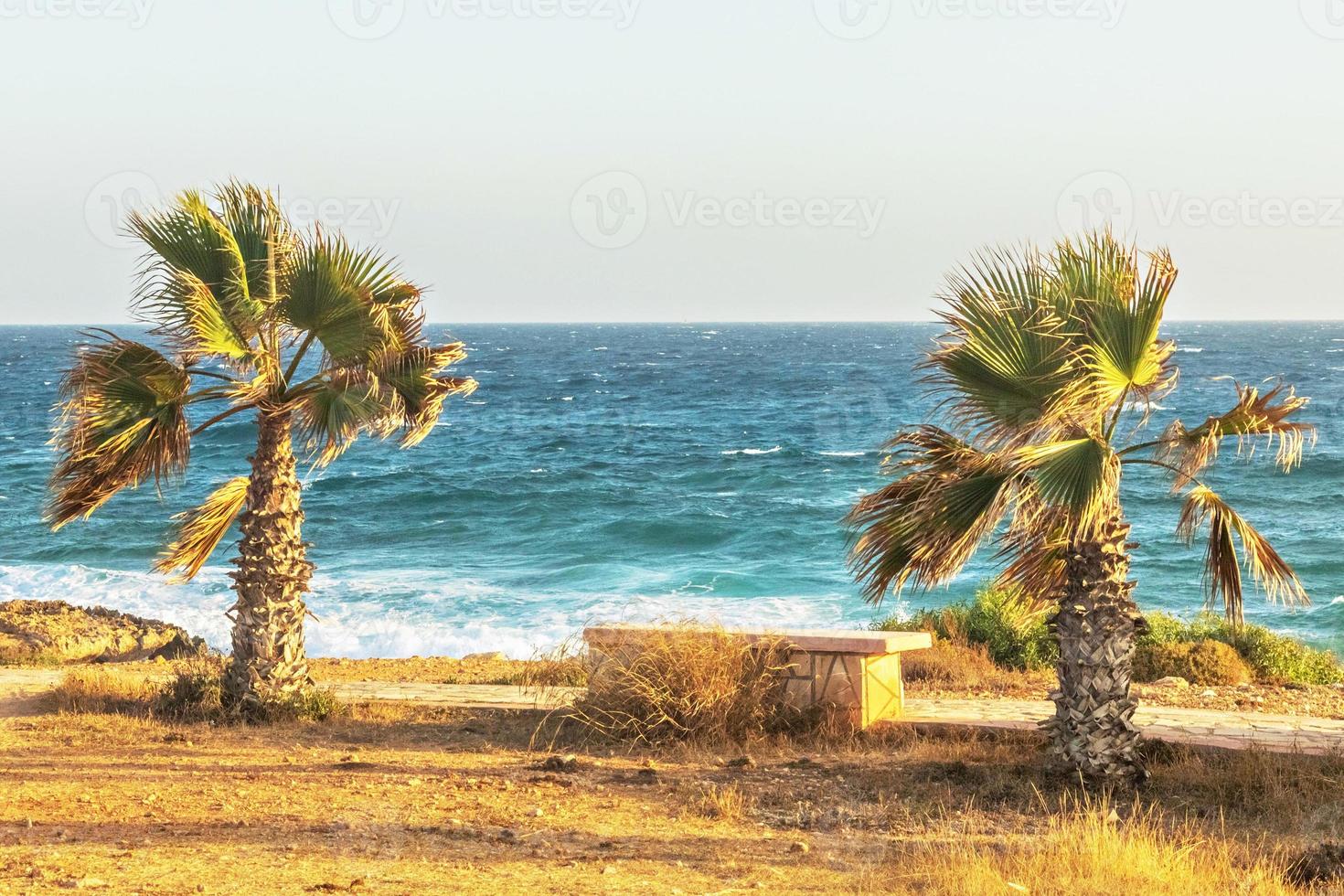 costa mediterránea soleada con palmeras. Hora de verano foto