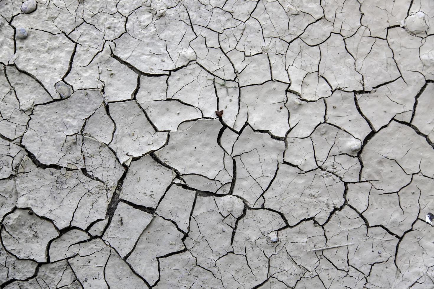 Cracked earth texture photo