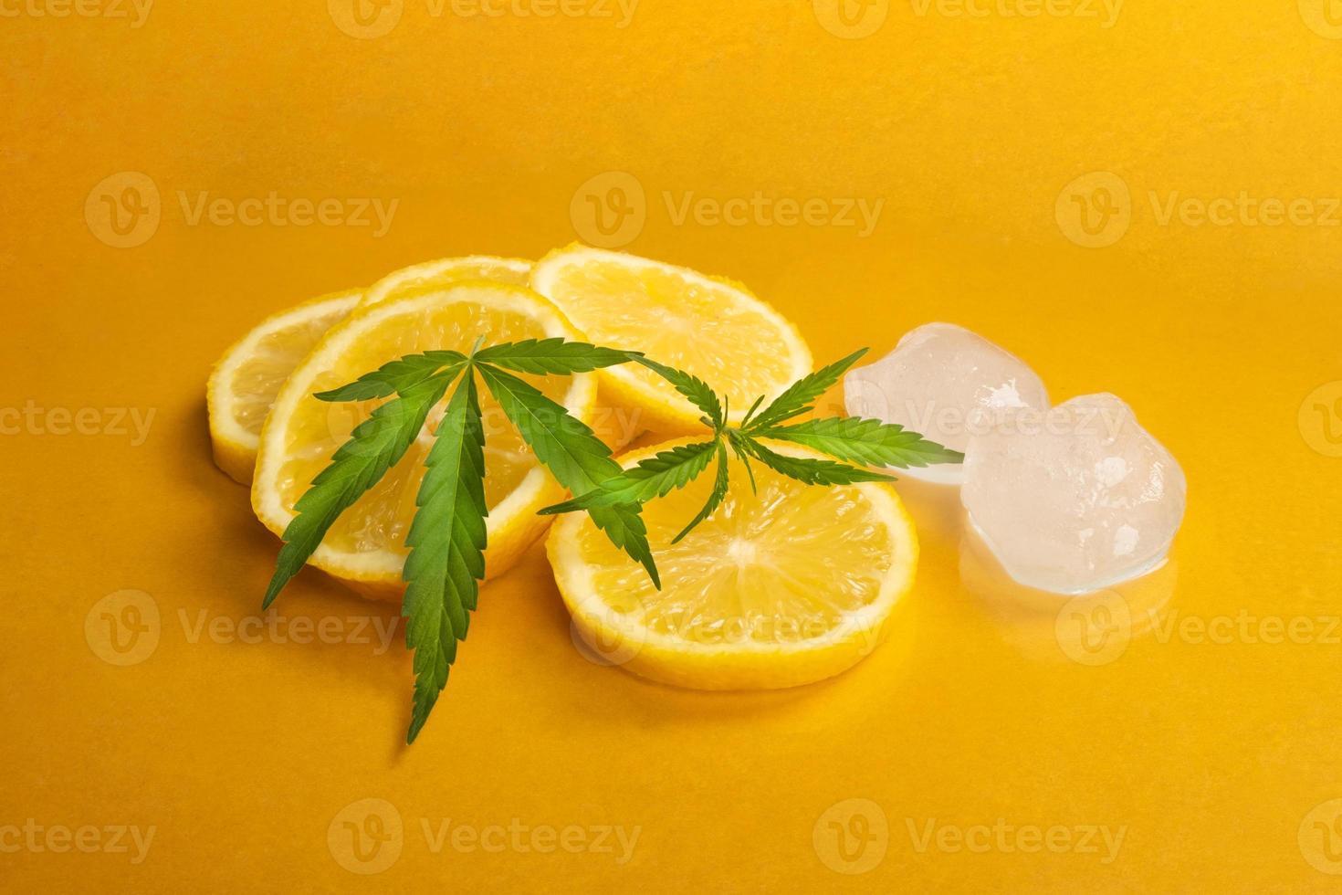 green hemp leaves and ice lemon slices photo