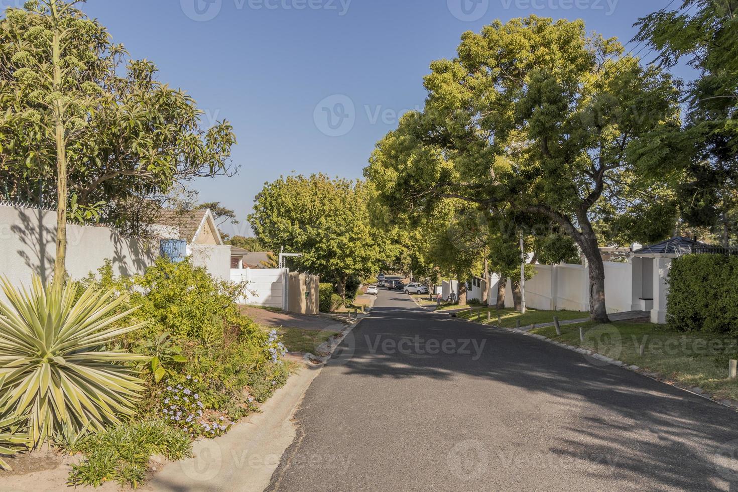 Street in Claremont, Cape Town, South Africa photo