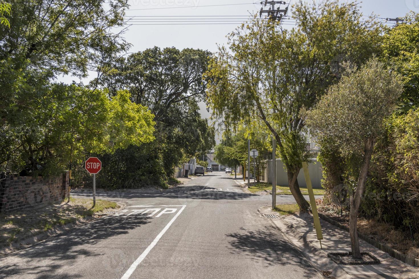 Street in the town of Claremont, Cape Town, South Africa. photo