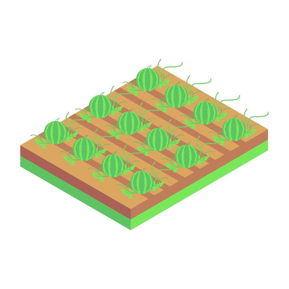 Water Melons Farm vector