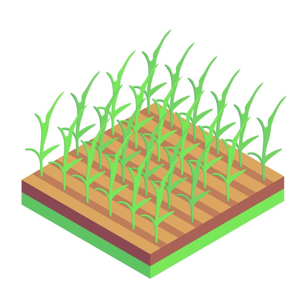 Plants Field and Agriculture vector