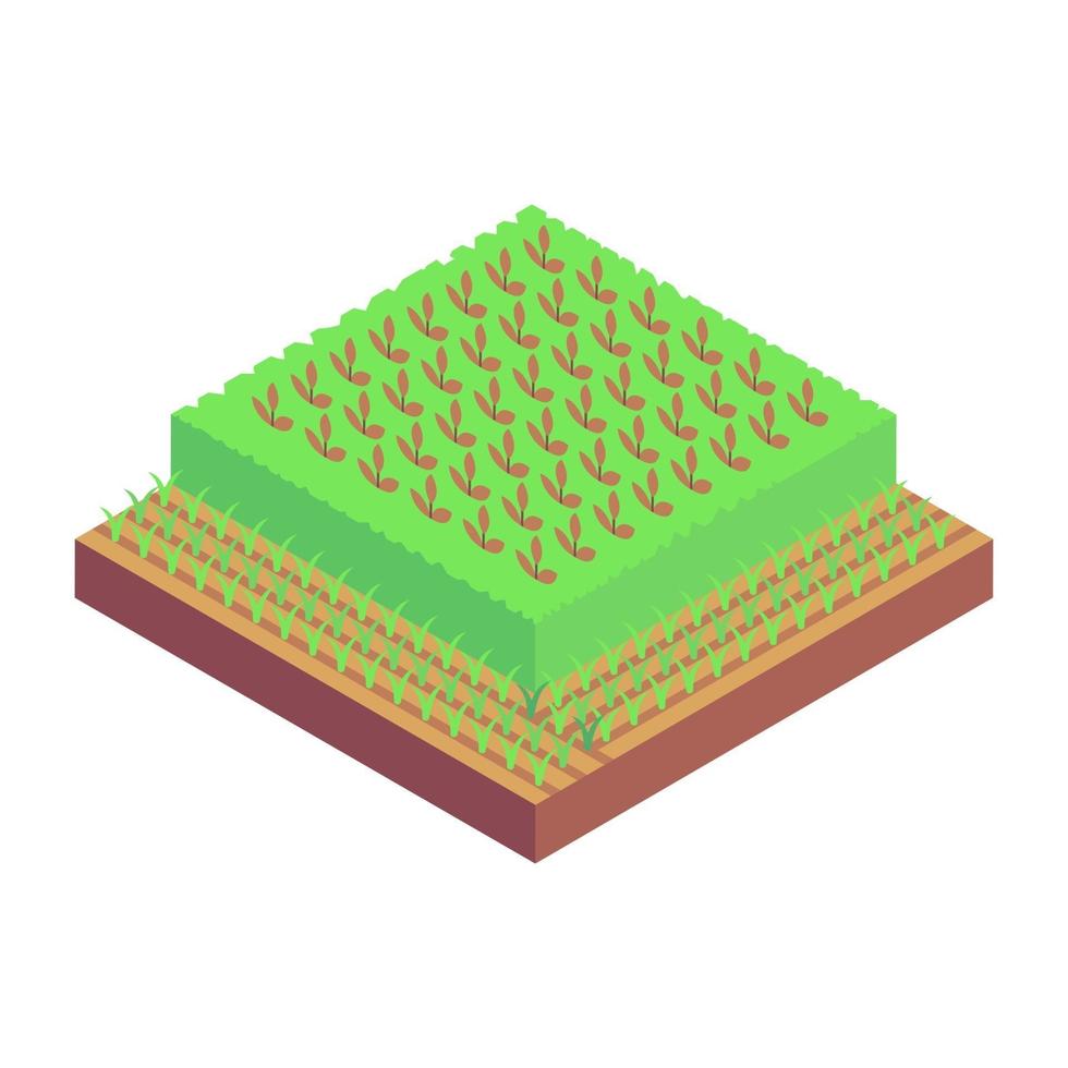 Grounded Wheat Farm vector