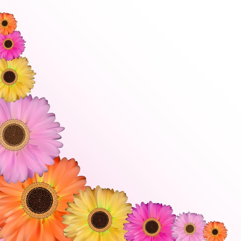 Gerbera Flower Natural Background Vector Illustration