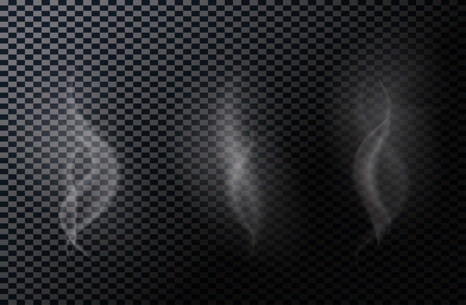 Naturalistic Smoke Isolated on Dark Background. Vector Illustrat