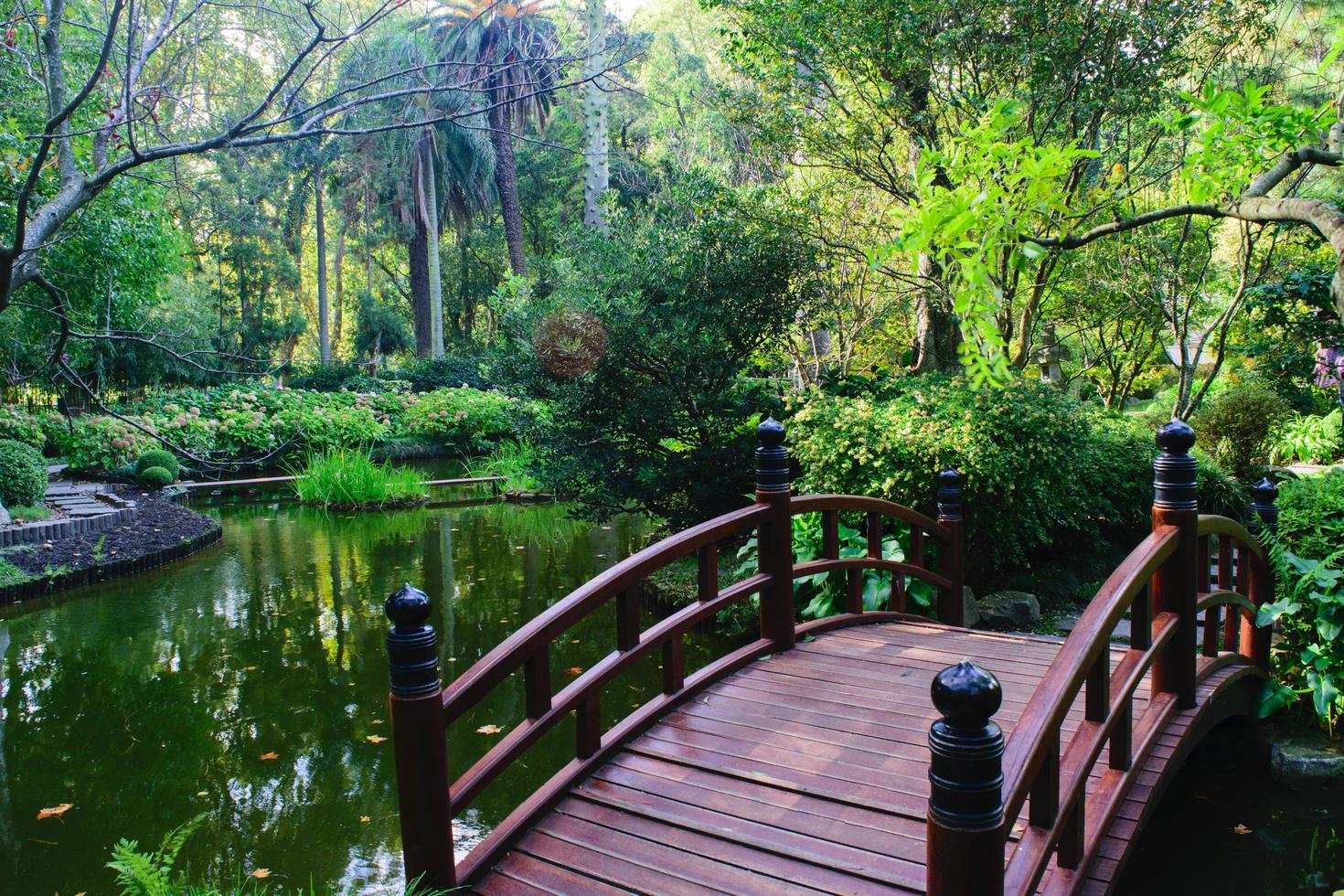 jardín japonés en montevideo foto