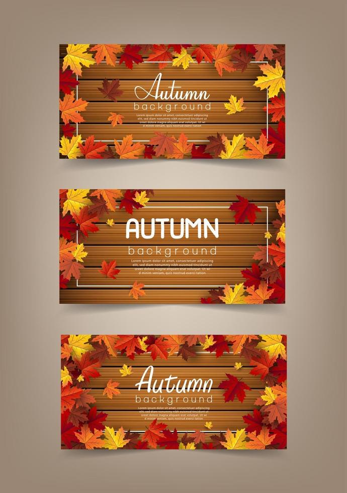 autumn maple leaf background banner vector