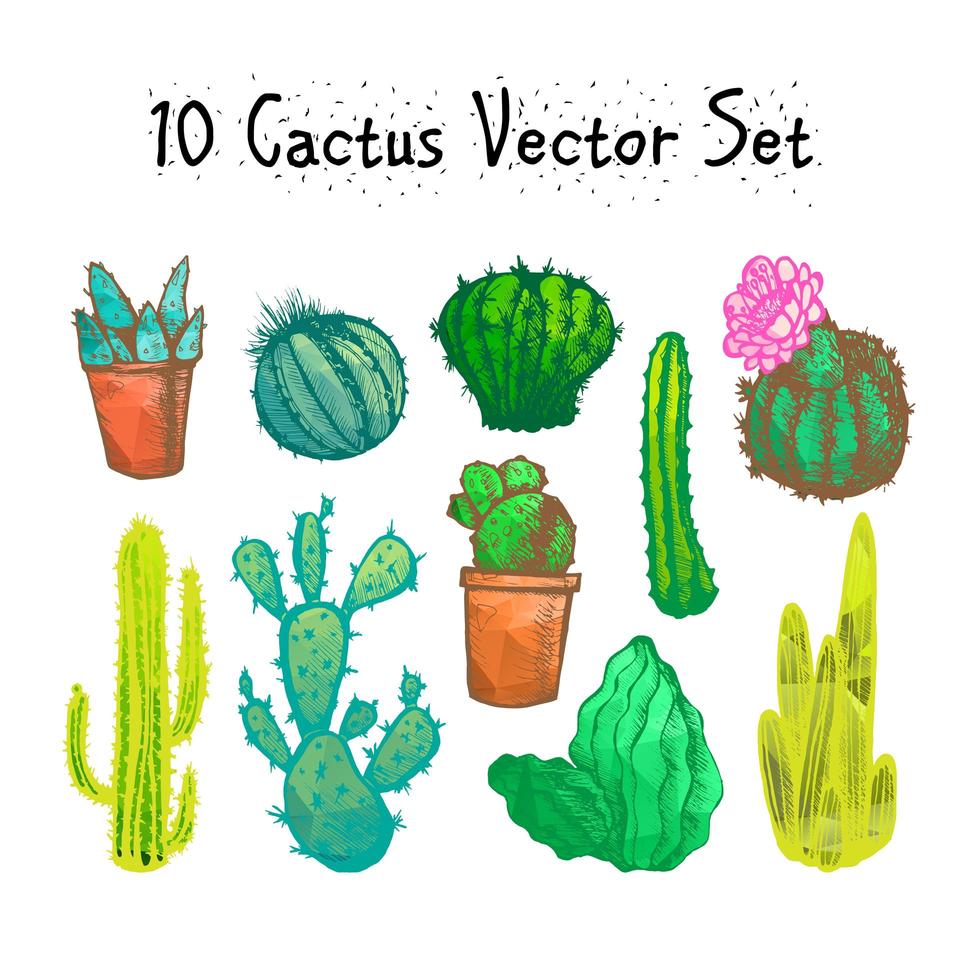 conjunto de cactus aislados dibujados a mano vector