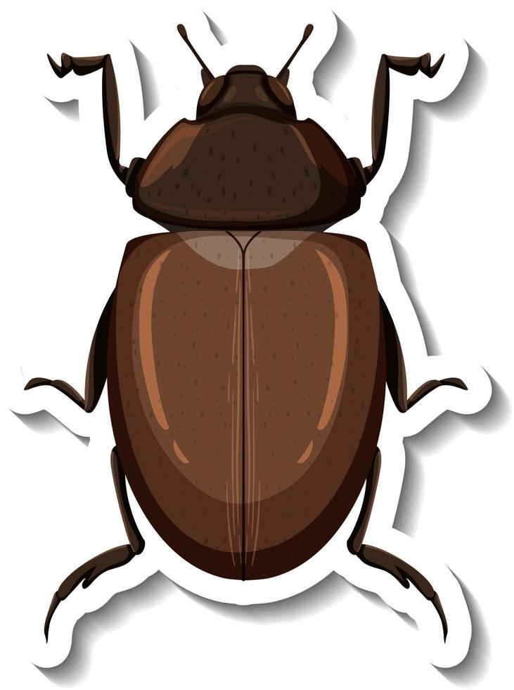 una plantilla de pegatina con vista superior de un escarabajo aislado vector