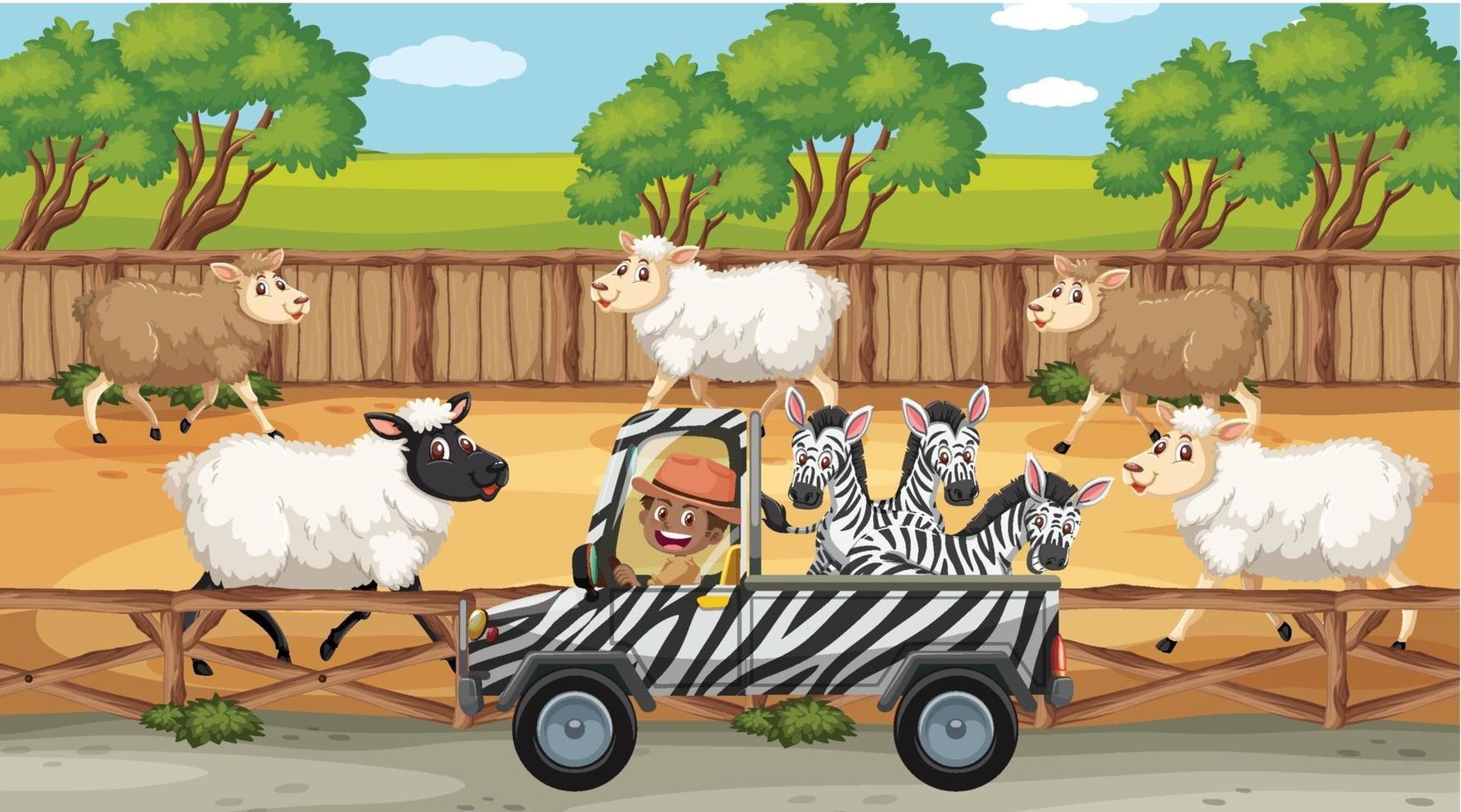 Safari scenes with many sheeps and kids cartoon character vector