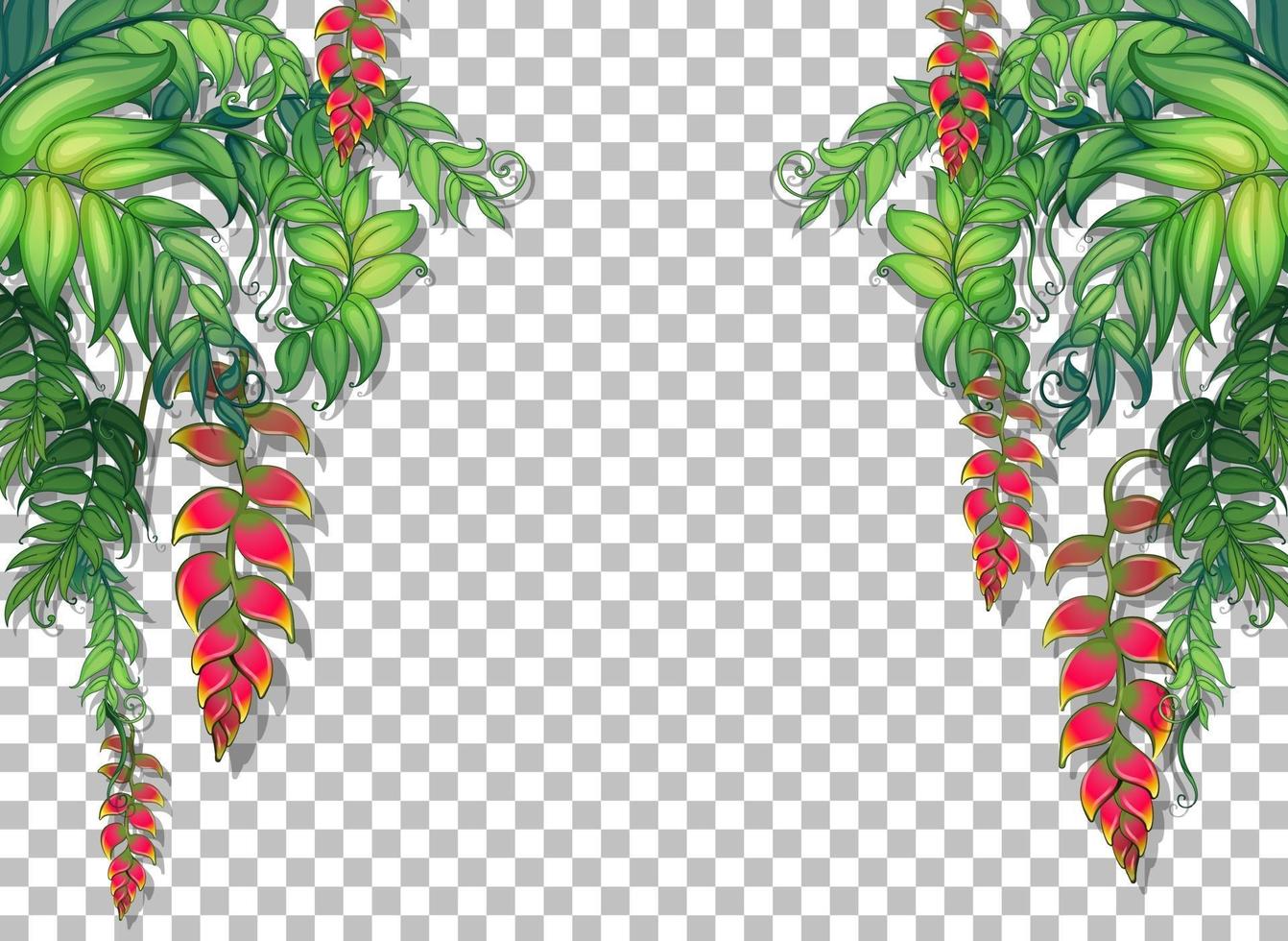 Tropical plants and leaves frame vector