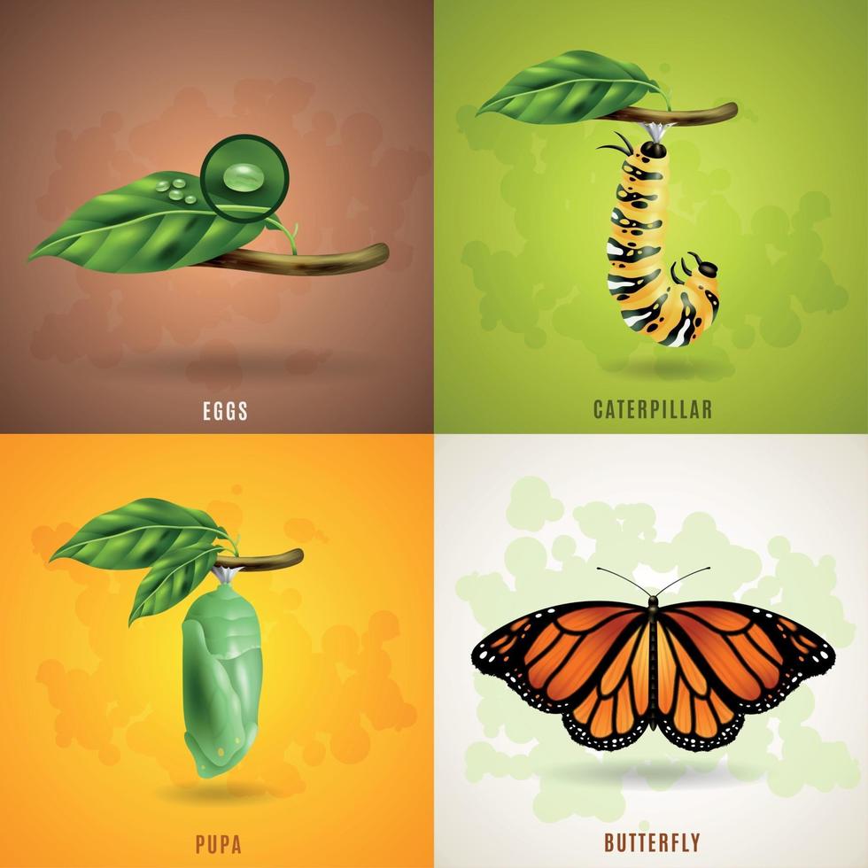 Ilustración de vector de concepto de diseño de mariposa 2x2