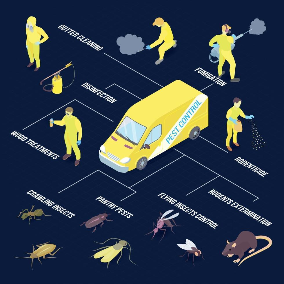 Ilustración de vector de infografías de desinfección isométrica