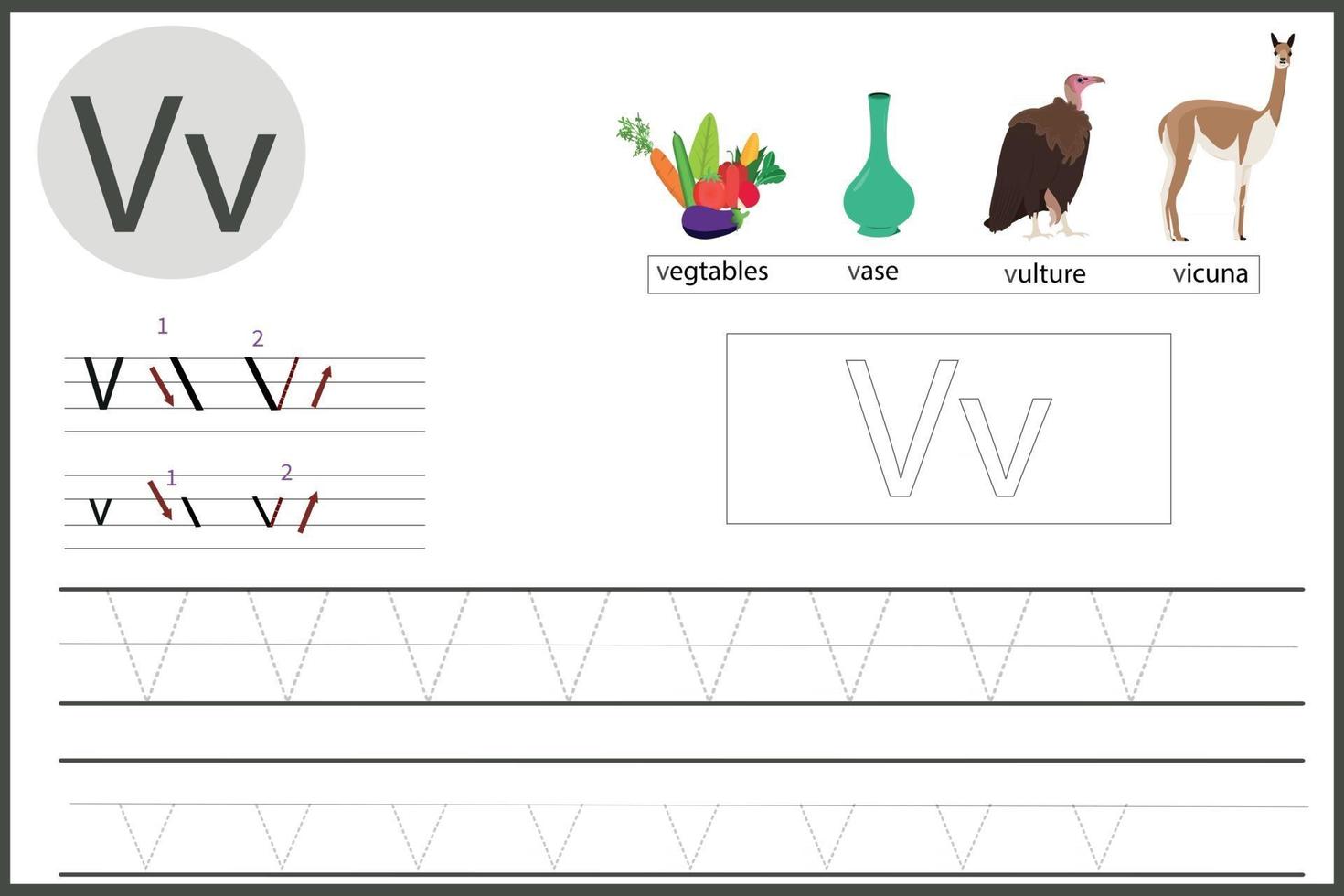 aprende la letra v vector