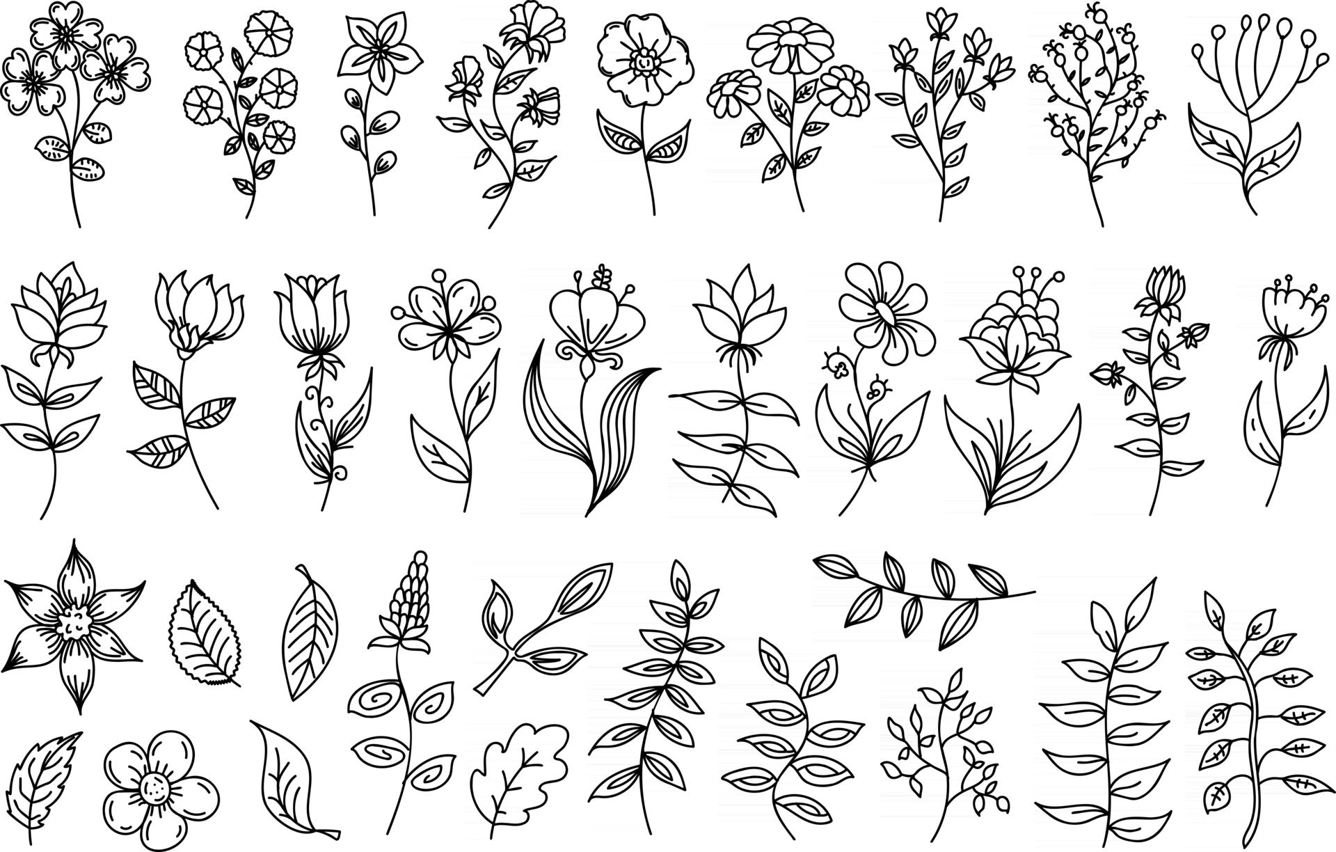 Black outline floral set. Group of thin line abstract flowers