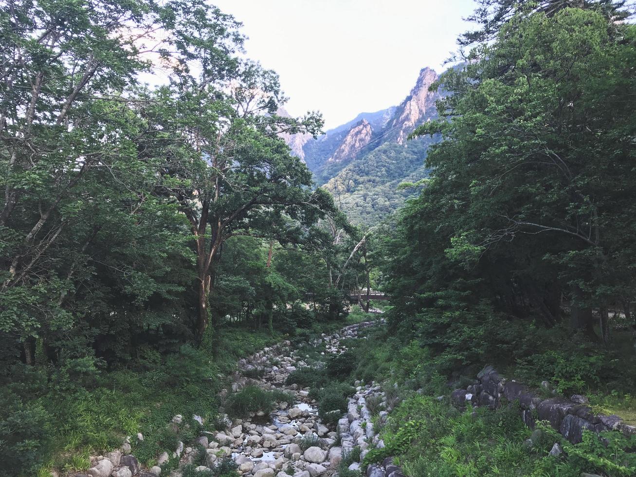 Mountain river and the wooden bridge in Seoraksan National Park photo