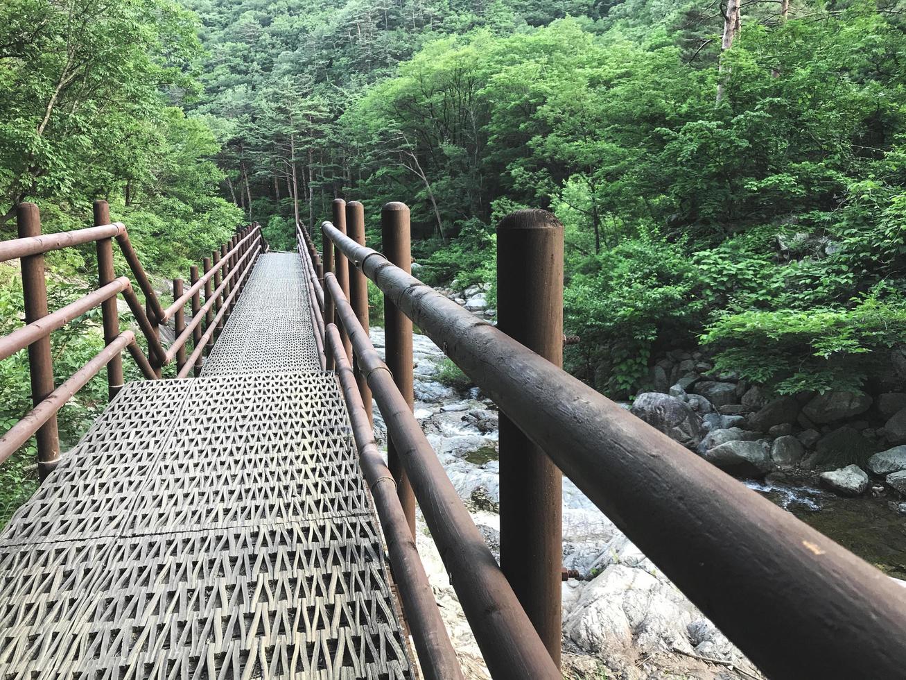 el pequeño puente de hierro en el parque nacional de seoraksan. Corea del Sur foto