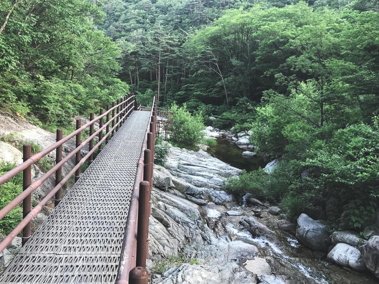 el pequeño puente de hierro en el parque nacional de seoraksan. Corea del Sur foto