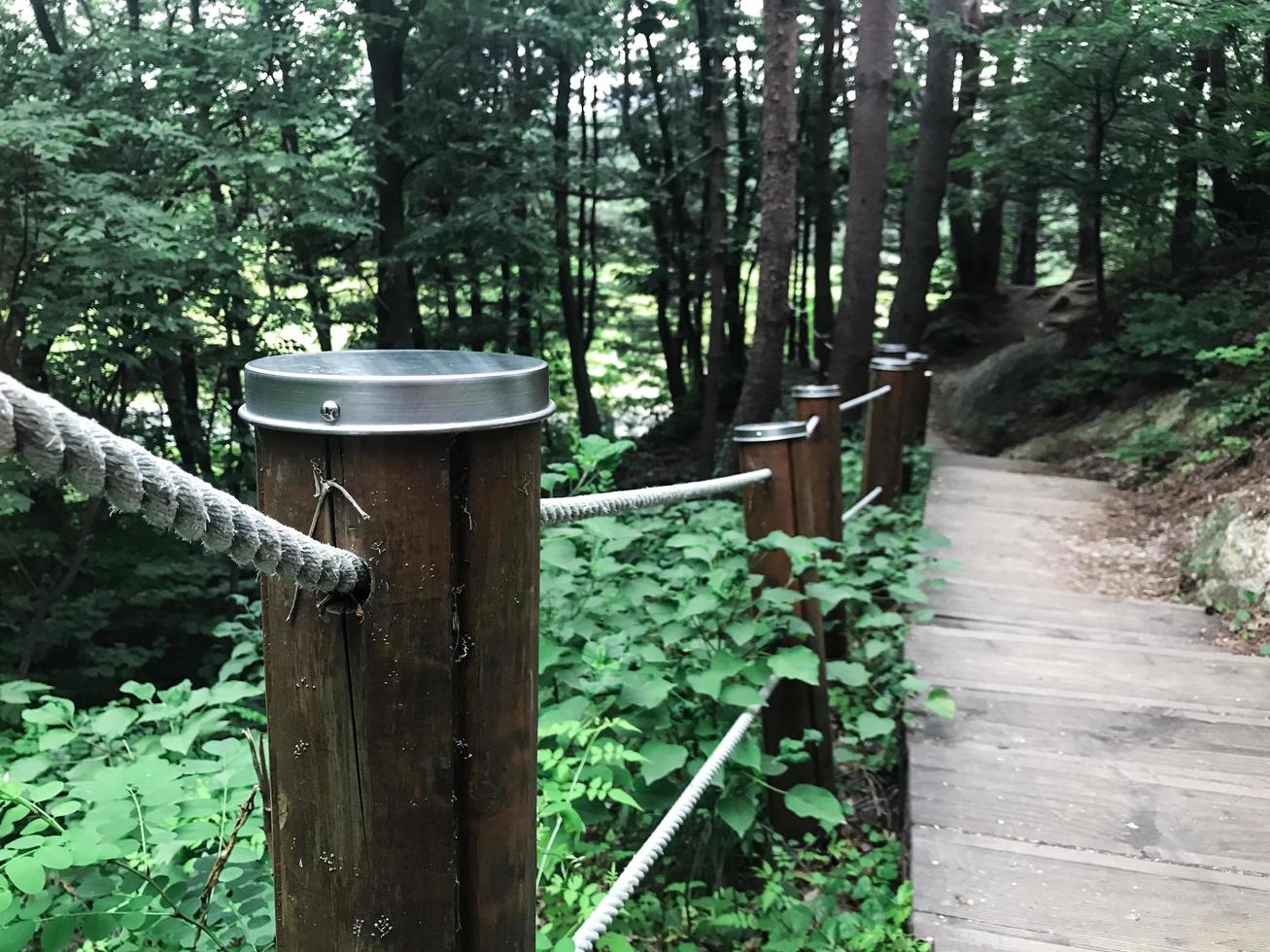 escalera que conduce al bosque. ciudad de sokcho. Corea del Sur foto