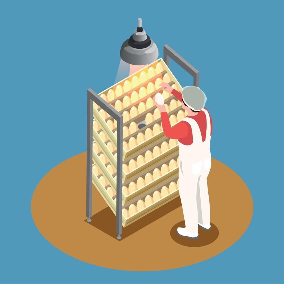 Chicken Farm Isometric Design Concept Vector Illustration