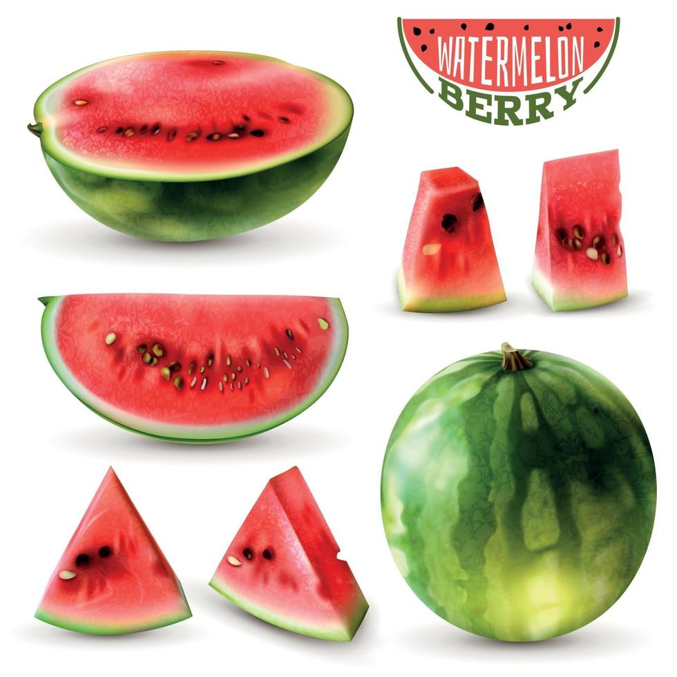 Watermelon Realistic Set Vector Illustration