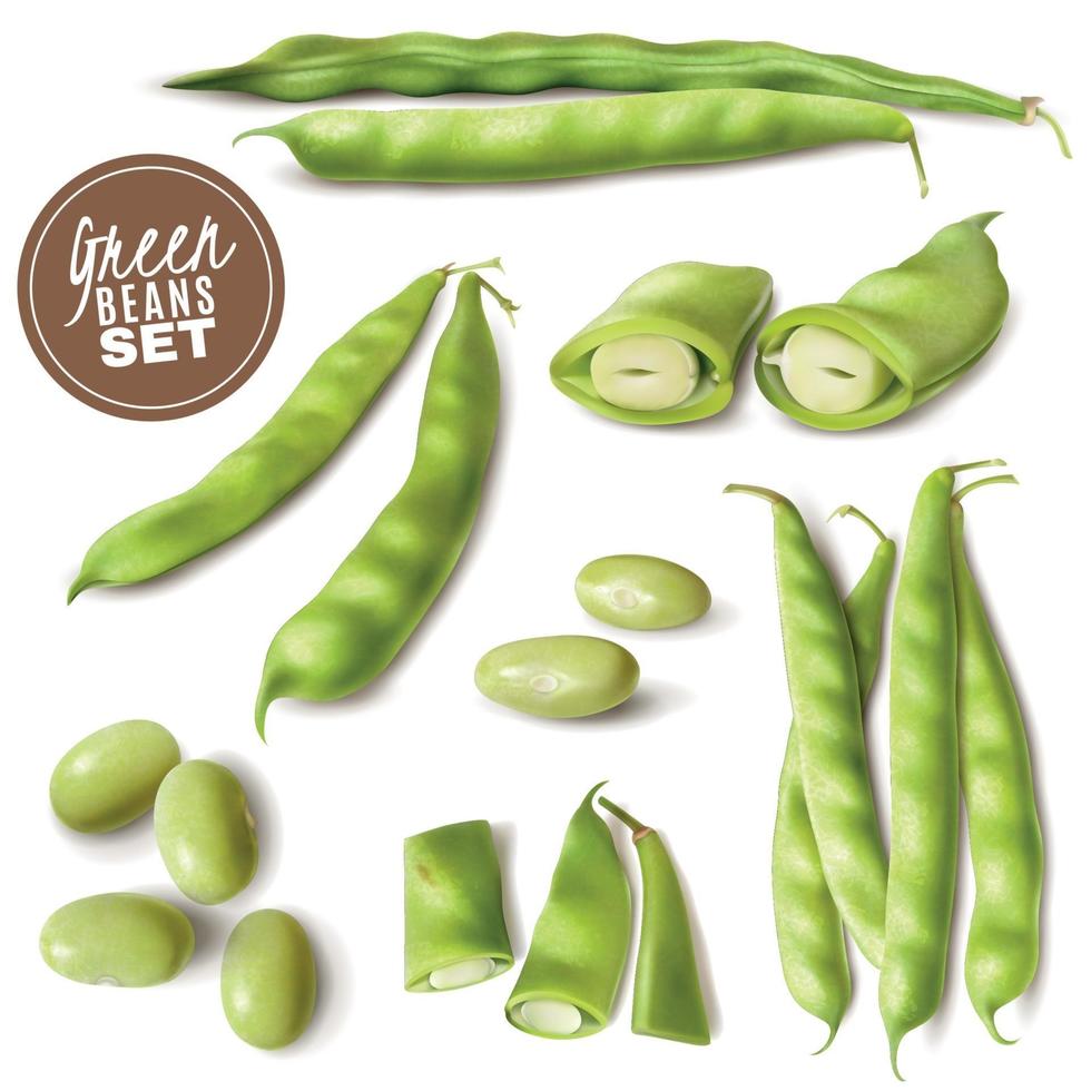 Green Beans Realistic Set Vector Illustration