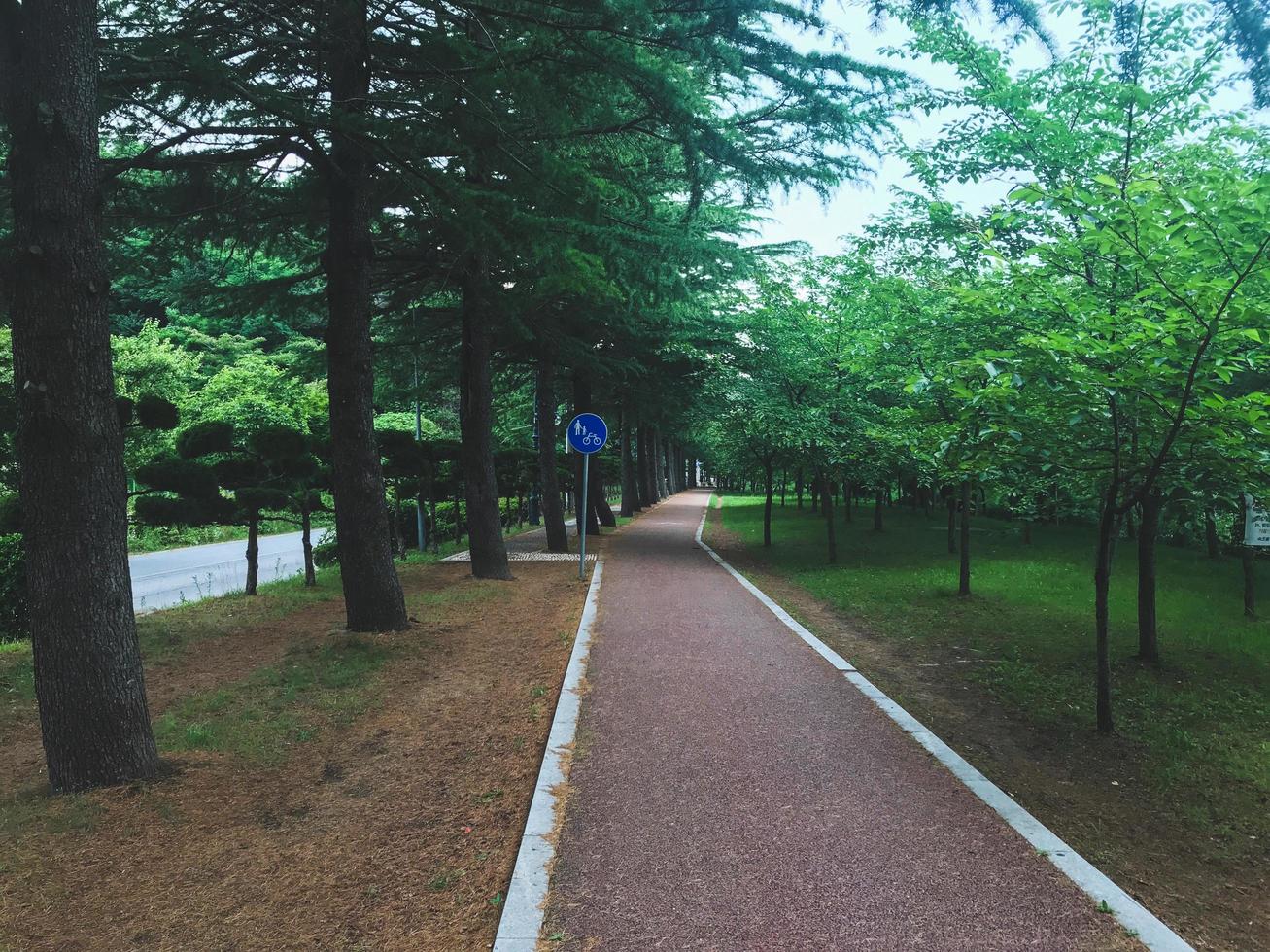 Walking path in park of Sokcho city, South Korea photo