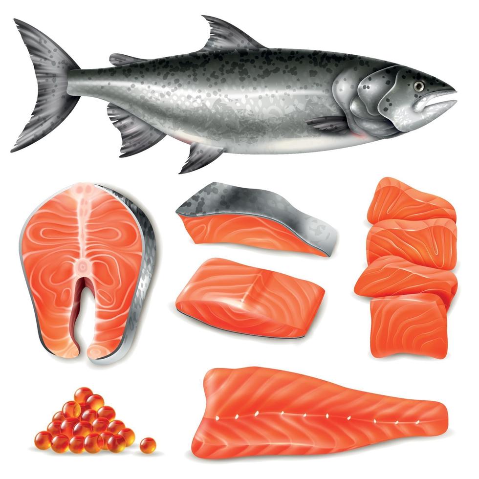 Realistic Salmon Set Vector Illustration