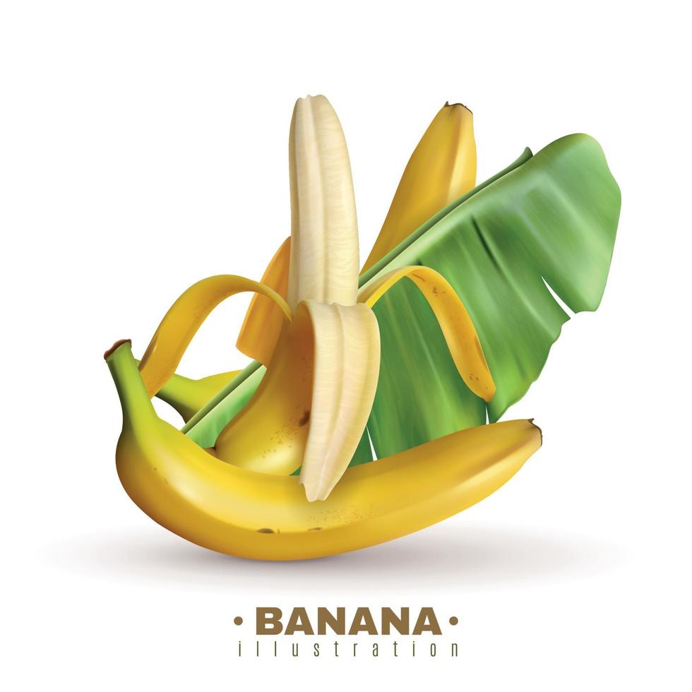 Fruit Banana Realistic Background Vector Illustration