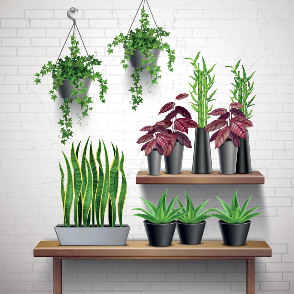 House Plants Realistic Interior Vector Illustration