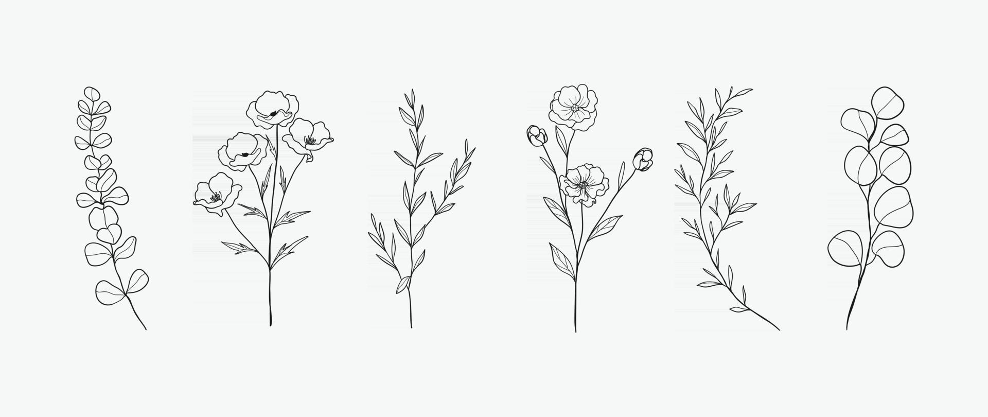 Minimal botanical hand drawing design for logo and wedding invitation. Floral line art.  Flower and leaves design collection for bouquets decoration, card and packaging background. vector