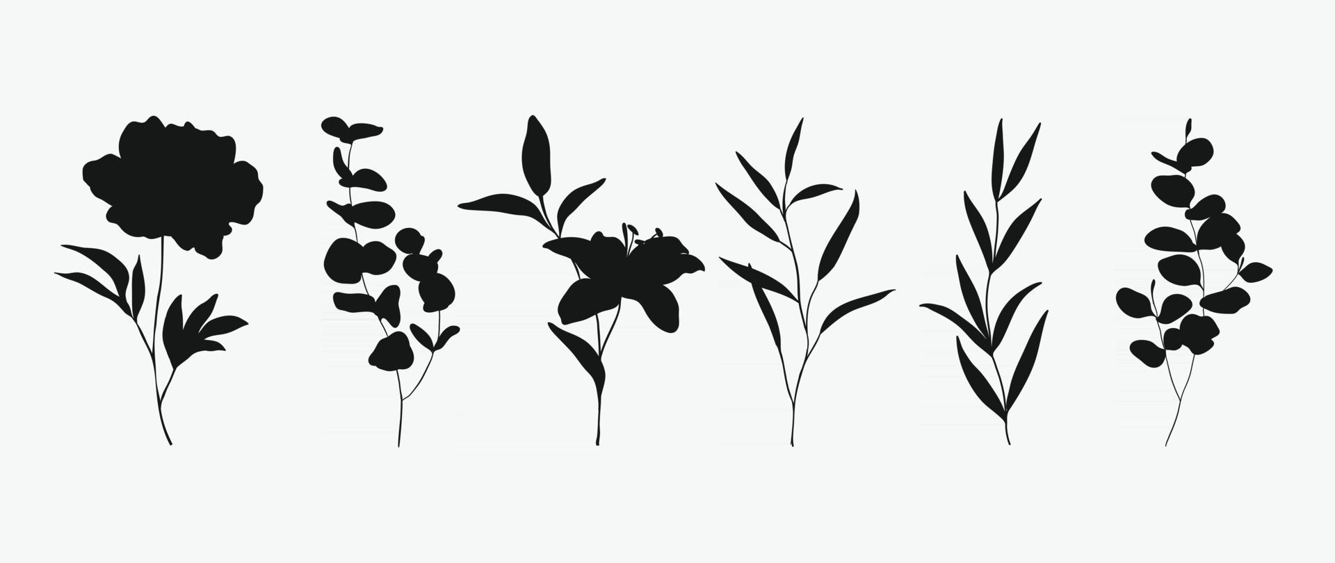 Minimal botanical hand drawing design for logo and wedding invitation. Floral line art.  Flower and leaves design collection for bouquets decoration, card and packaging background. vector