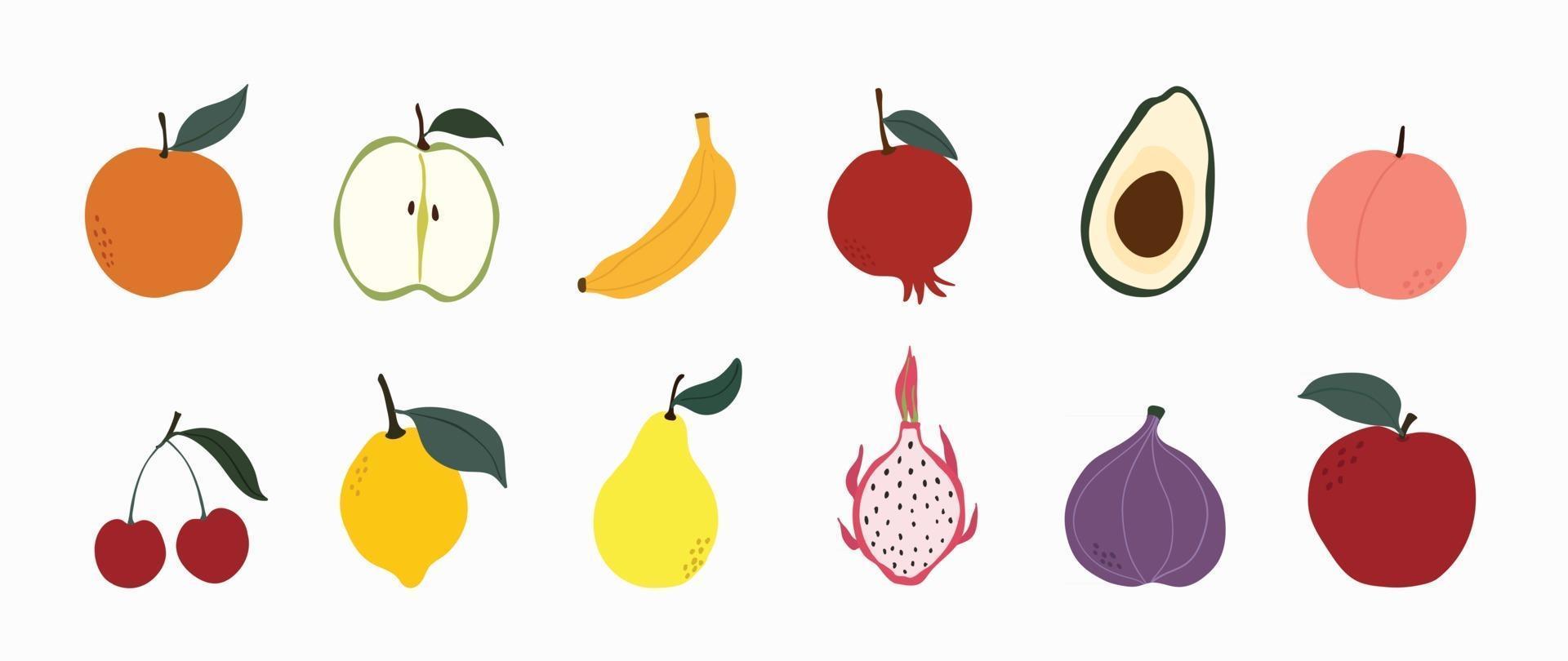 Set of colorful fruit icons vector. Hand drawn of banana, apple, pear, orange, peach, plum, watermelon, pineapple, papaya, grapes, cherry, lemon. Vector illustration, isolated on white.