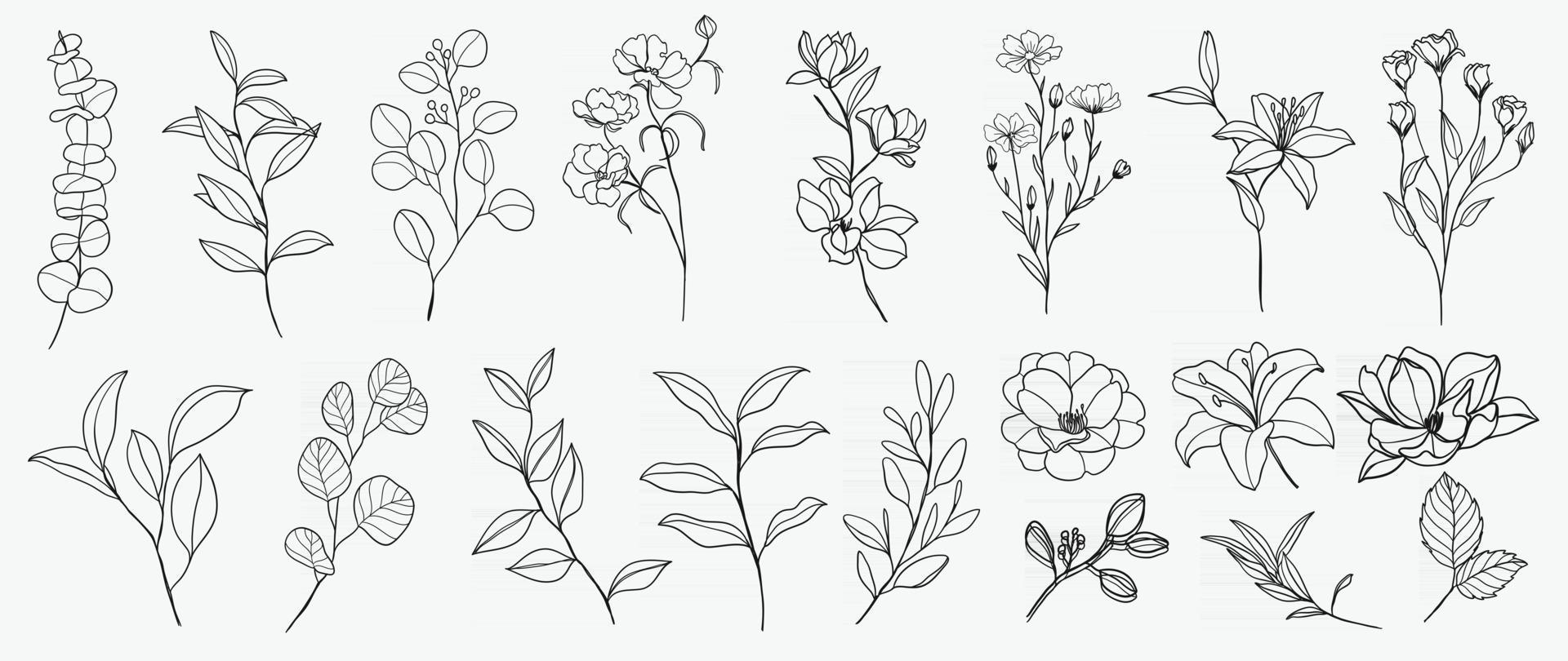 Minimal botanical hand drawing design for logo and wedding invitation. Floral line art.  Flower and leaves design collection for bouquets decoration, card and packaging background. vector