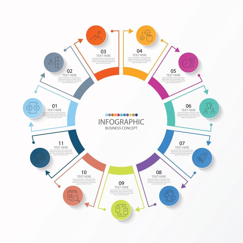 Basic circle infographic template with 11 steps, process or options, process chart, Used for process diagram, presentations, workflow layout, flow chart, infograph. Vector eps10 illustration.