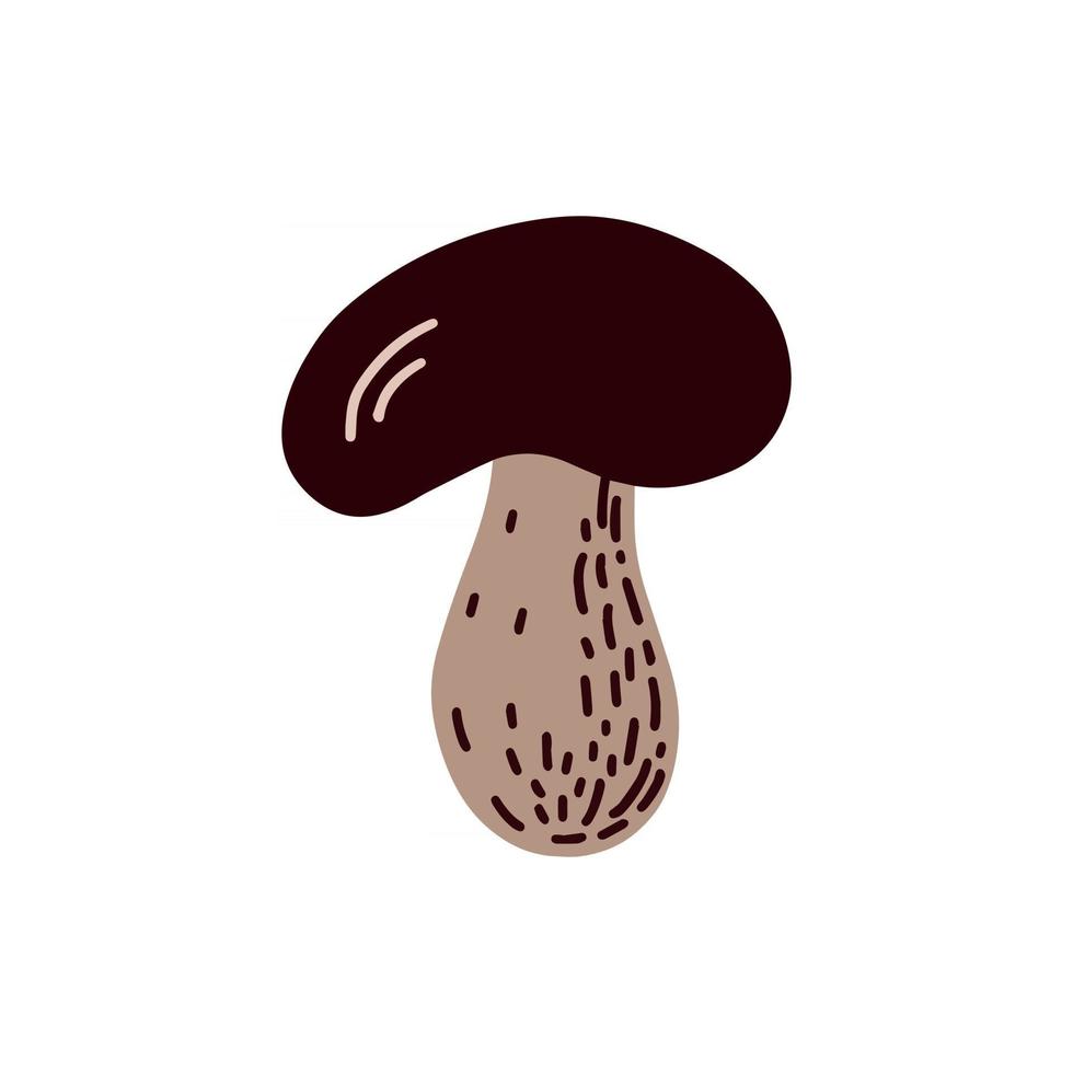 Forest mushroom on a white background. Vector illustration