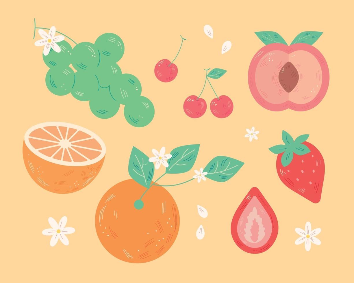 A collection of different fruits. flat design style minimal vector illustration.