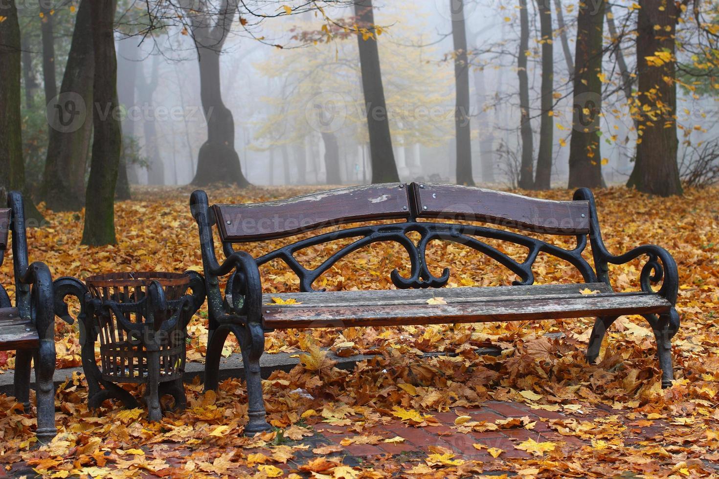 Bench in the autumn park and lots of yellow leaves photo