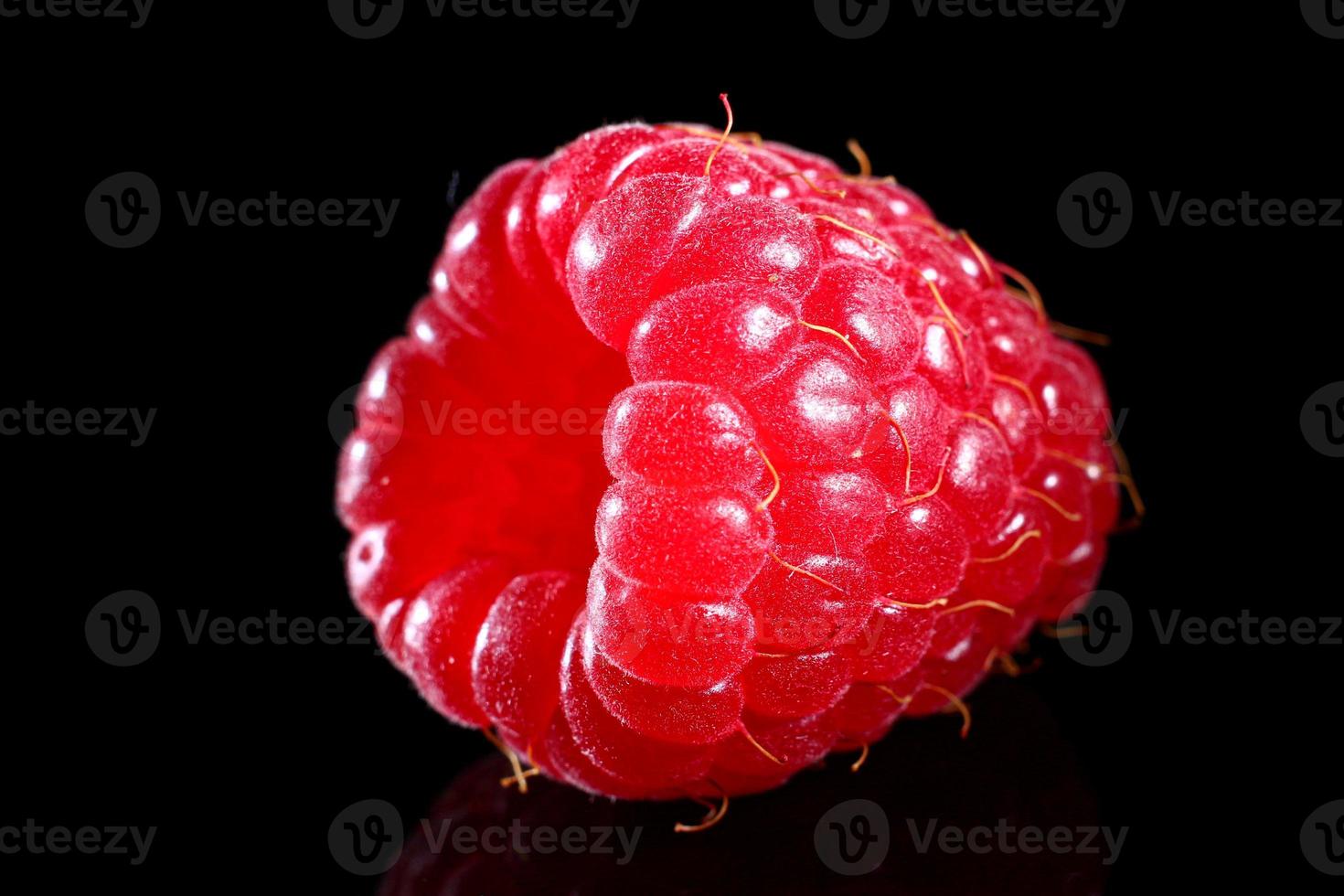 One red raspberry berry on a black background. photo