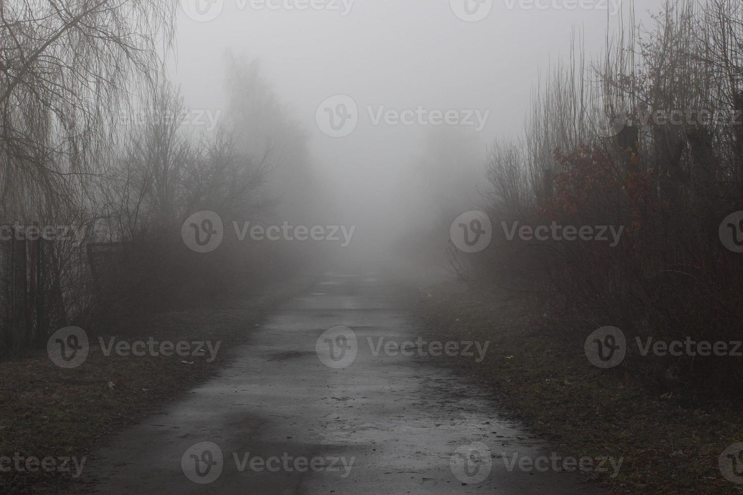 deserted trail in the fog. The road to the unknown. Mystical landscape. photo