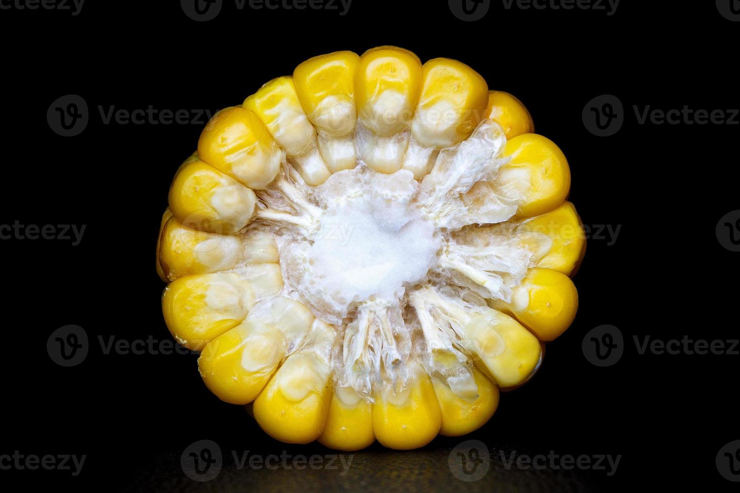 Chopped corn in profile on a black background. photo