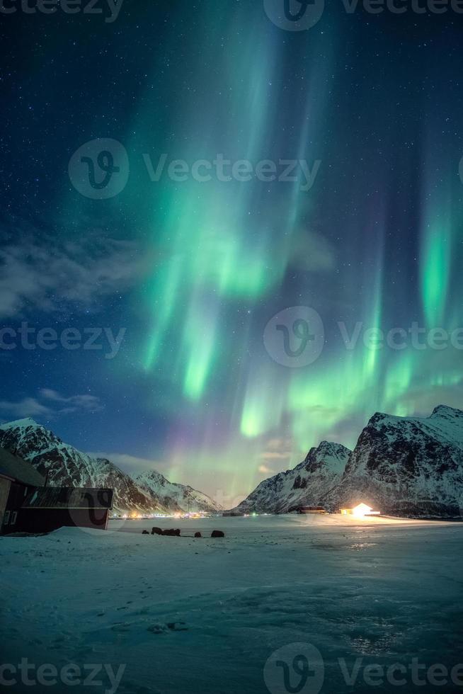 Aurora boreal, auroras boreales con estrellas que brillan intensamente en la montaña nevada en el cielo nocturno en invierno en las islas Lofoten foto