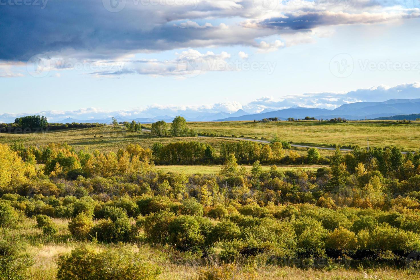 Scenery of trees on green hill with the road and blue sky in national park photo