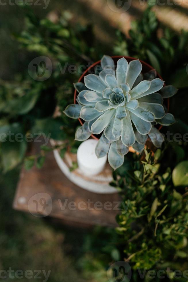 elegantes decoraciones de boda hechas de flores naturales foto