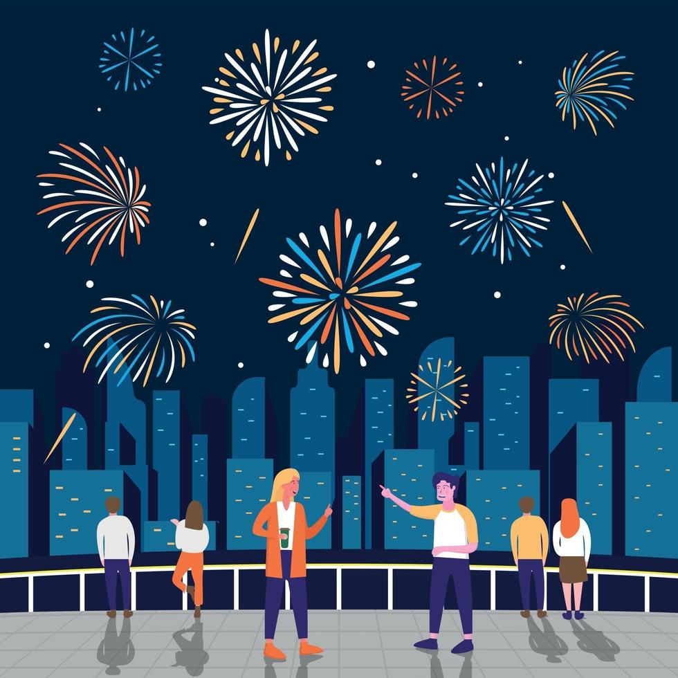 Firework Show Celebration vector