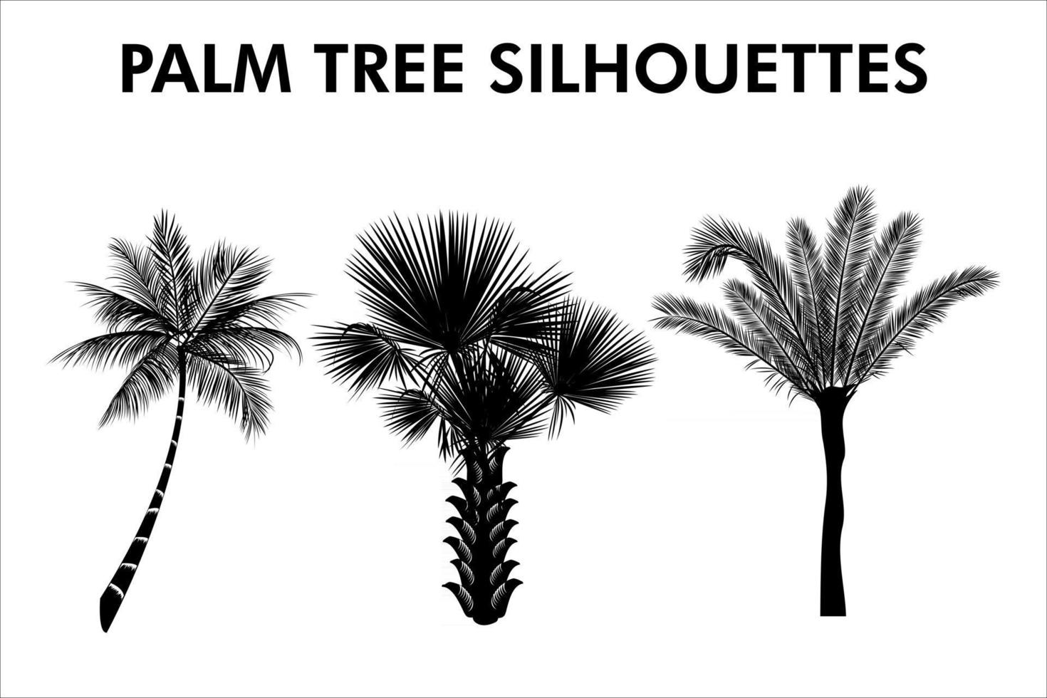 Realistic Palm Tree Silhouettes vector